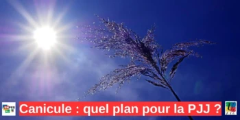 Visuels canicule plan pjj